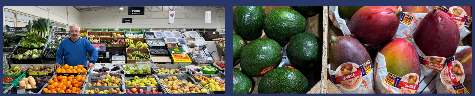 Vendor Banner